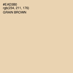 #EAD3B0 - Grain Brown Color Image